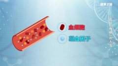 20260228����֮·��Ƶ�ͱʼ�:���ʳ�,Ѫ�Ѳ�,��Ѫ����,Ⱦɫ��