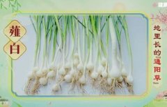 20260310����֮·��Ƶ�ͱʼ�:³��,ޯ��,�ѹ�Ӣ,��������ѩ����