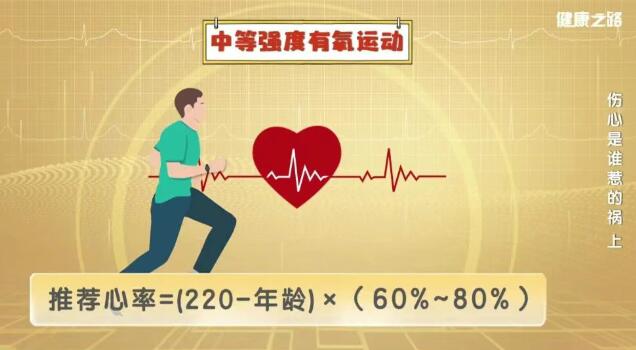 �����˶�