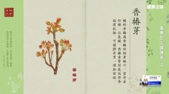 20260408����֮·��Ƶ�ͱʼ�:����,�㴻,����ѿ,��Ǯ,�㴻������