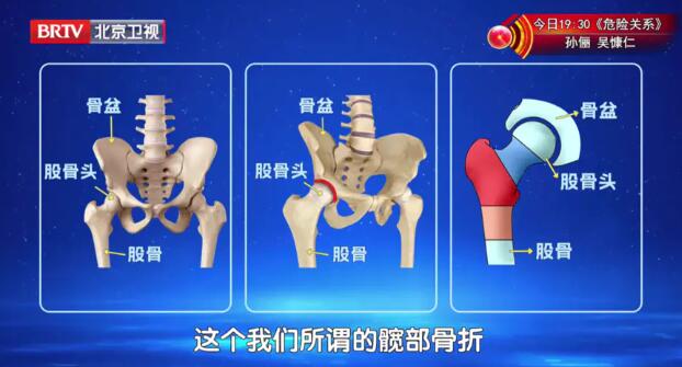 �Ų�����