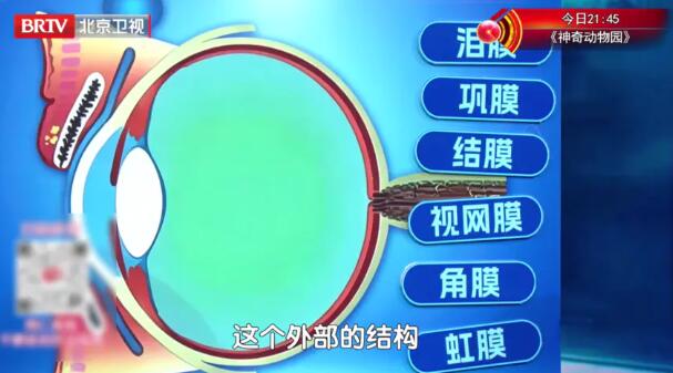 ��Ĥ����Ĥ����Ĥ