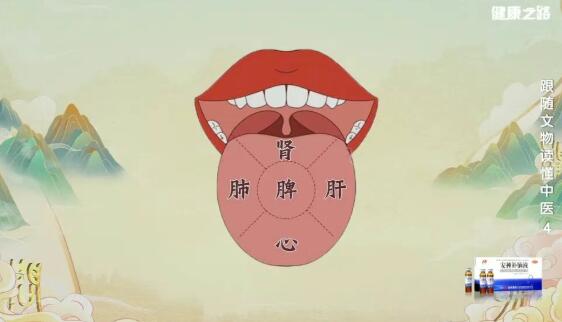 望舌