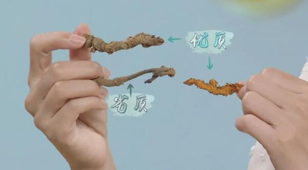 �����ѡ���ʻ���