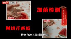 20260614��������Ƶ�ͱʼ�:����,������,�����˾�,��˹�ؾ�,����
